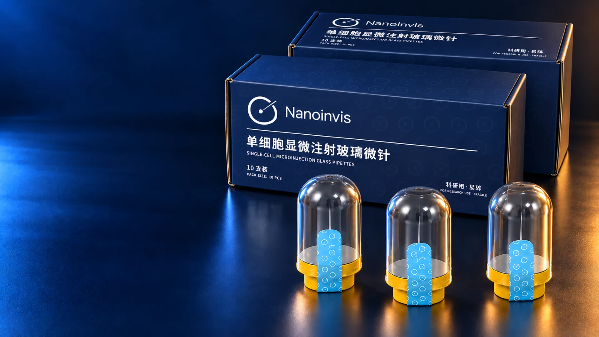 Nanoinvis 玻璃微针与独立包装
